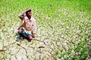 Monsoon's indifference: Rainfall in Jharkhand is below normal in 23 out of 24 districts.