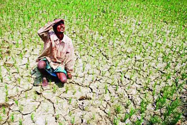 Monsoon's indifference: Rainfall in Jharkhand is below normal in 23 out of 24 districts.