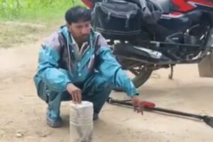 snake rescue